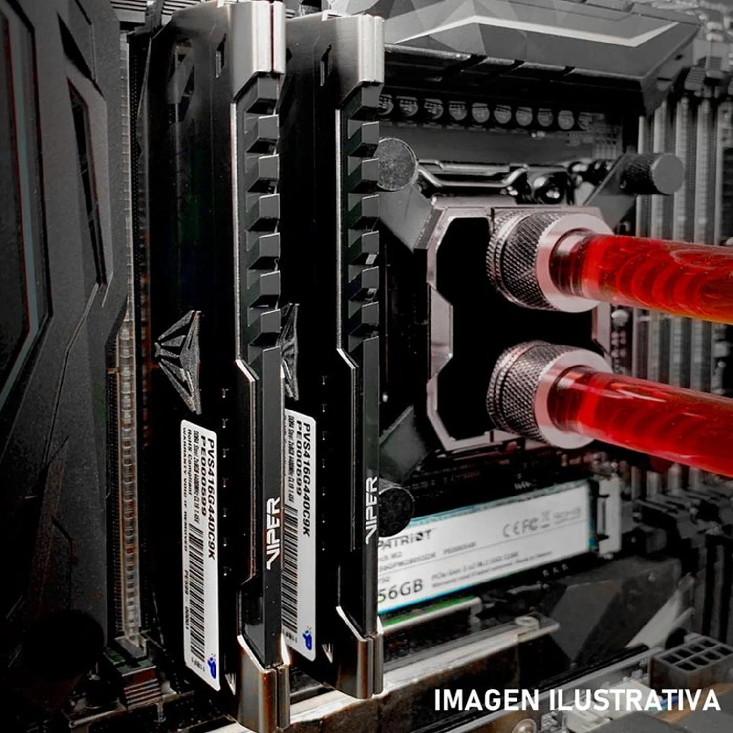 Memoria RAM DDR4 16GB 3600MHz PATRIOT VIPER STEEL 1x16GB PVS416G360C8 - Image 5