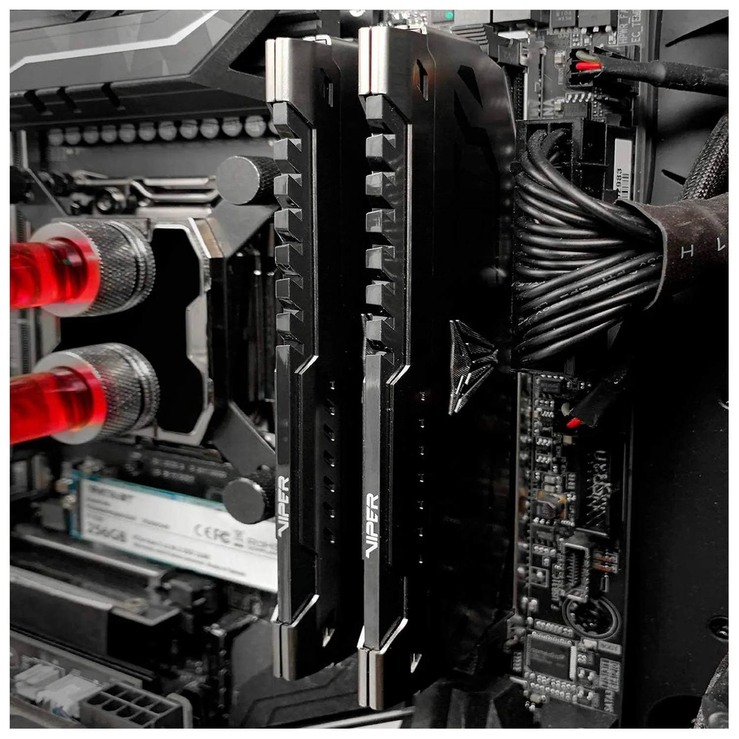 Memoria RAM DDR4 32GB 3200MHZ PATRIOT VIPER STEEL 1x32GB PVS432G320C6 - Image 4