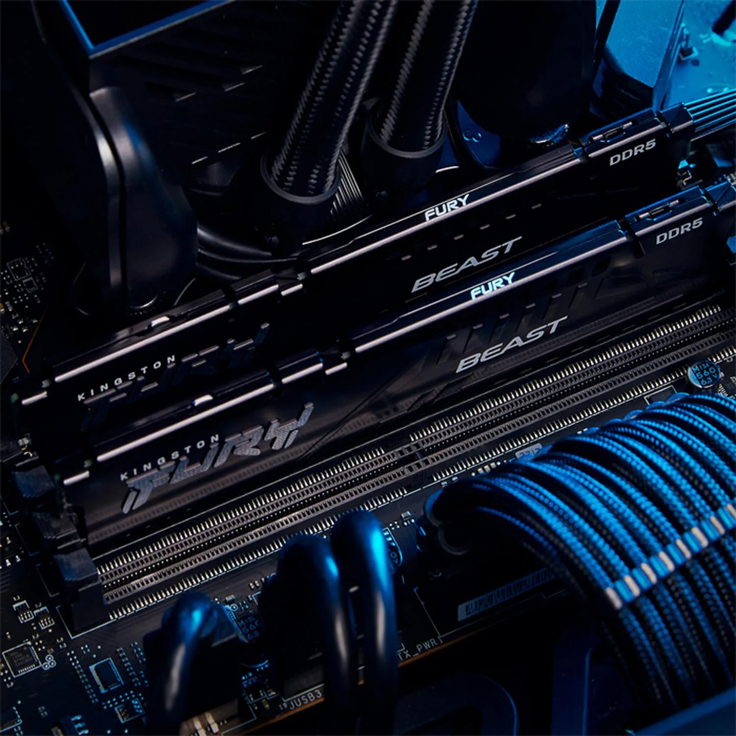 Memoria RAM DDR5 16GB 5600MT/s KINGSTON FURY BEAST 1x16GB Negro KF556C40BB-16 - Image 6