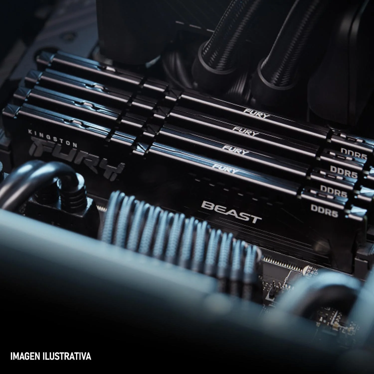 Memoria RAM DDR5 16GB 6000MT/s KINGSTON FURY BEAST 1x16GB Negro KF560C36BBE2-16 - Image 5