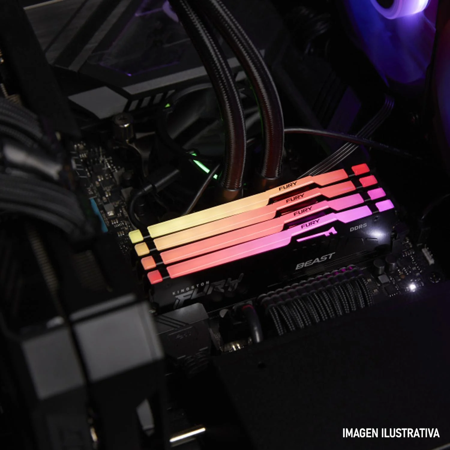 Memoria RAM DDR5 16GB 6000MT/s KINGSTON FURY BEAST RGB EXPO 1x16GB Negro KF560C36BBE2A-16 - Image 5