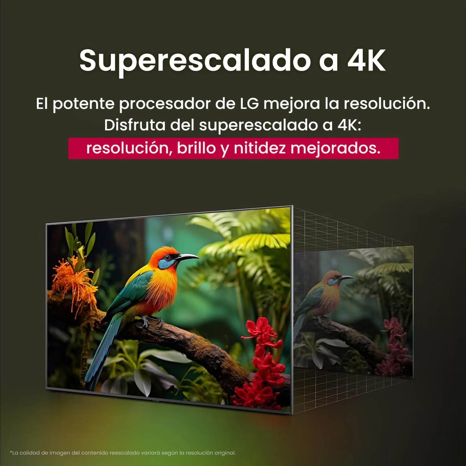 Pantalla Smart TV 50" LG UHD AI UA75 4K Ultra HD webOS25 Wi-Fi Bluetooth HDMI - Image 3