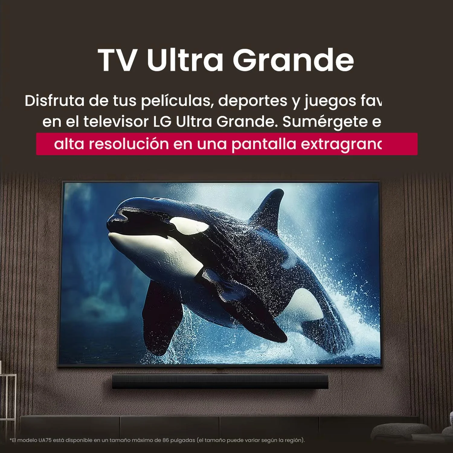 Pantalla Smart TV 50" LG UHD AI UA75 4K Ultra HD webOS25 Wi-Fi Bluetooth HDMI - Image 5